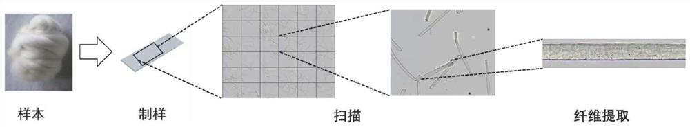 Cashmere and wool optical microscope image recognition method based on generative adversarial network