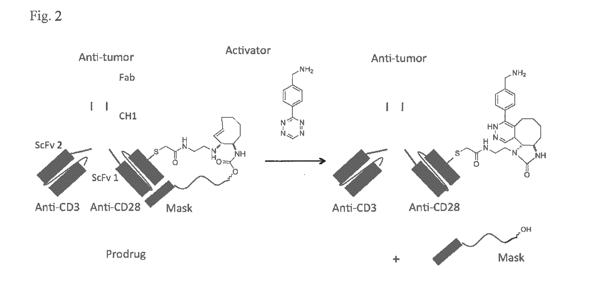 Bio-orthogonal drug activation