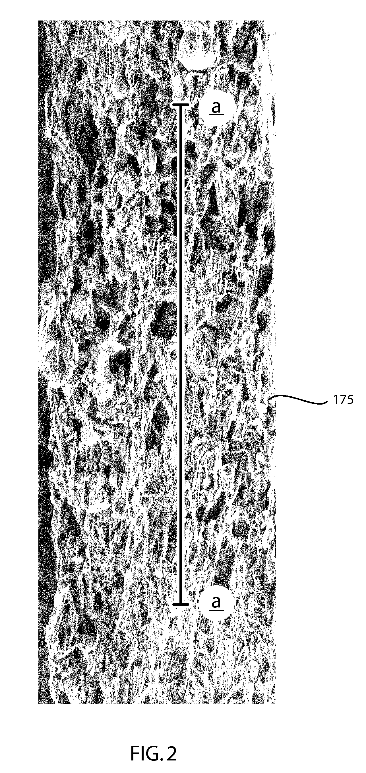 Low coefficient of thermal expansion materials including nonstoichiometric cordierite fibers and methods of manufacture