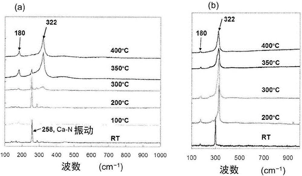 Support metal catalyst and method for synthesizing ammonia using same catalyst