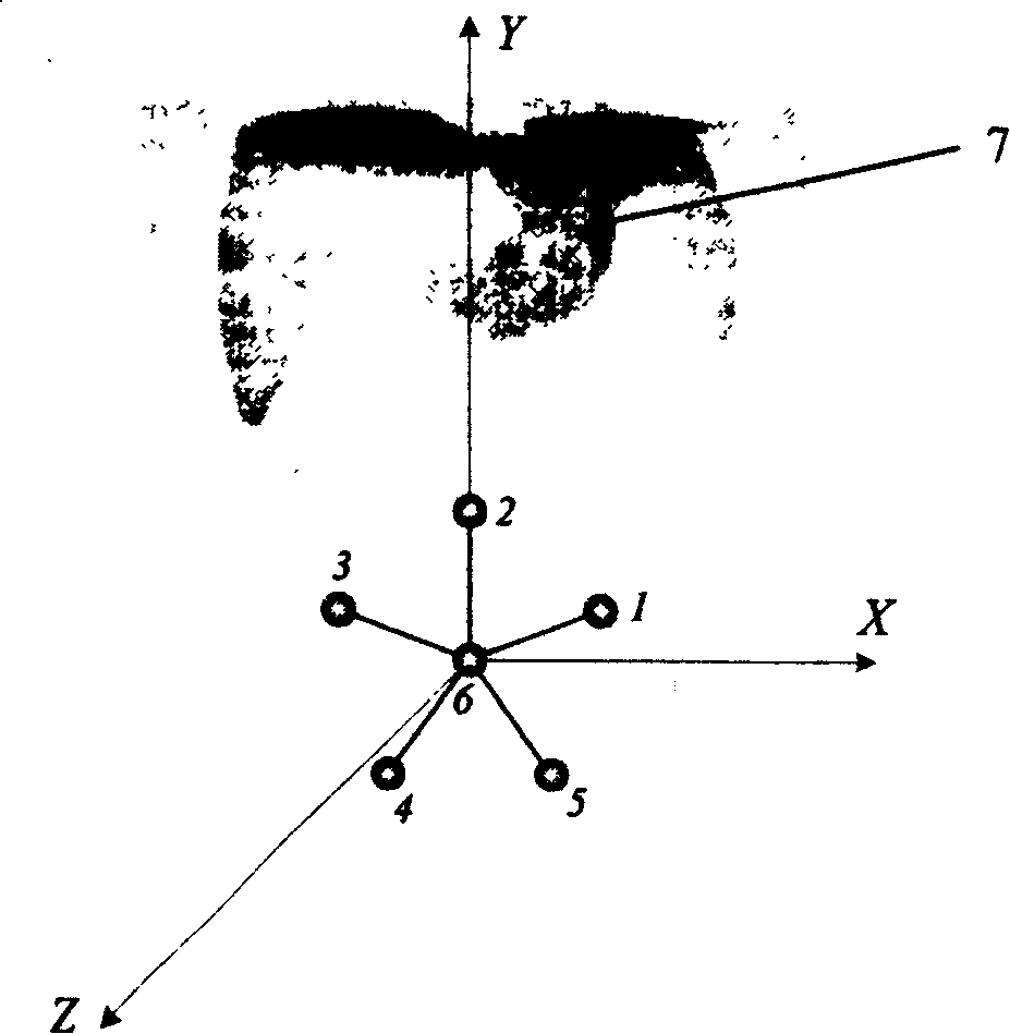 Swallowing type electronic remote detection continuous tracking and positioning system in capsule based on magnetic marker