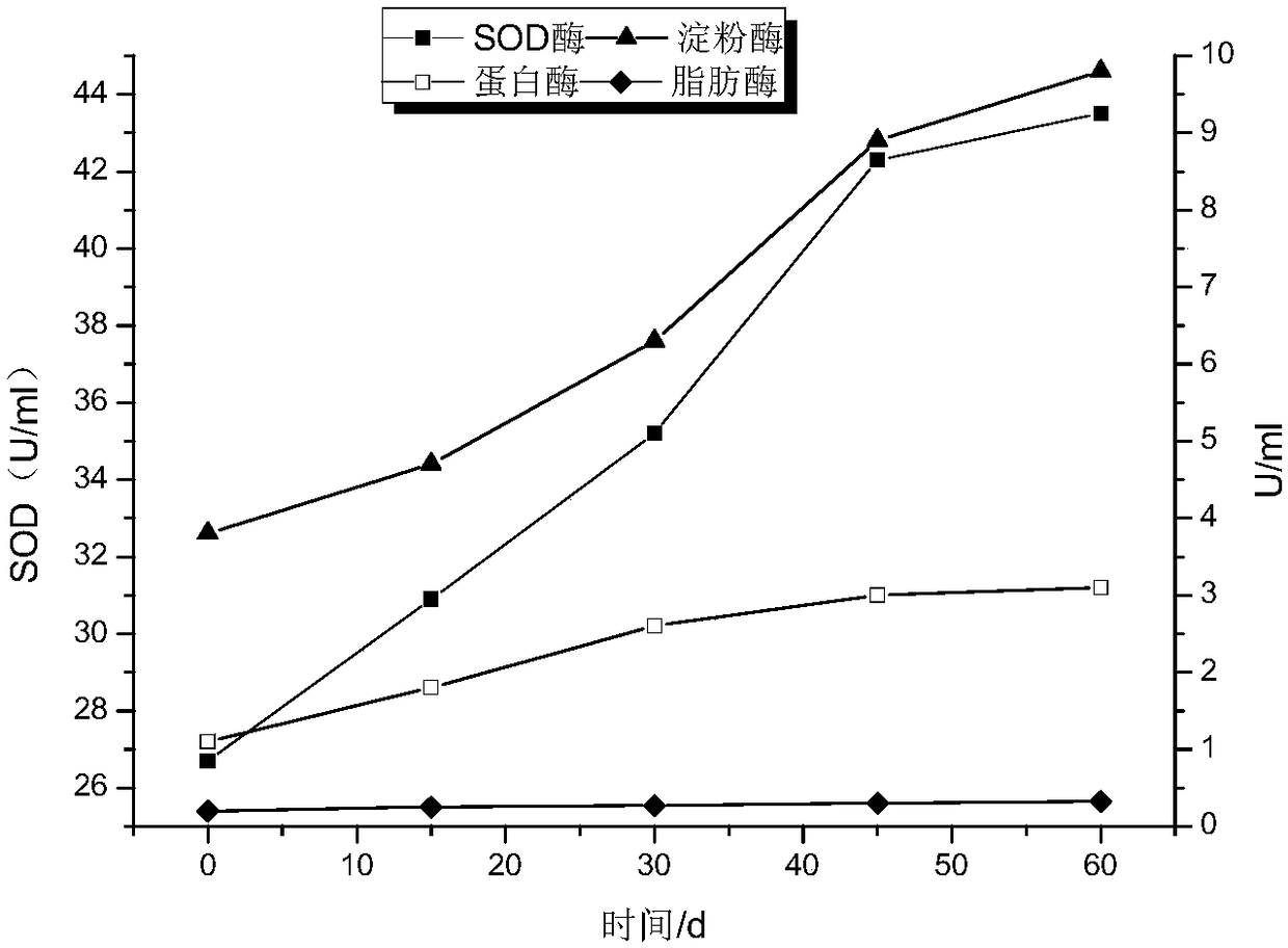 Fermented condiment vegetable liquid, fermented condiment vegetable powder and preparation method and application of fermented liquid and fermented powder