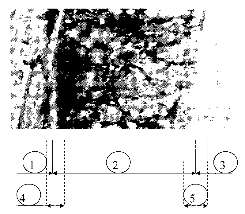 Vacuum welding method for titanium alloy and stainless steel