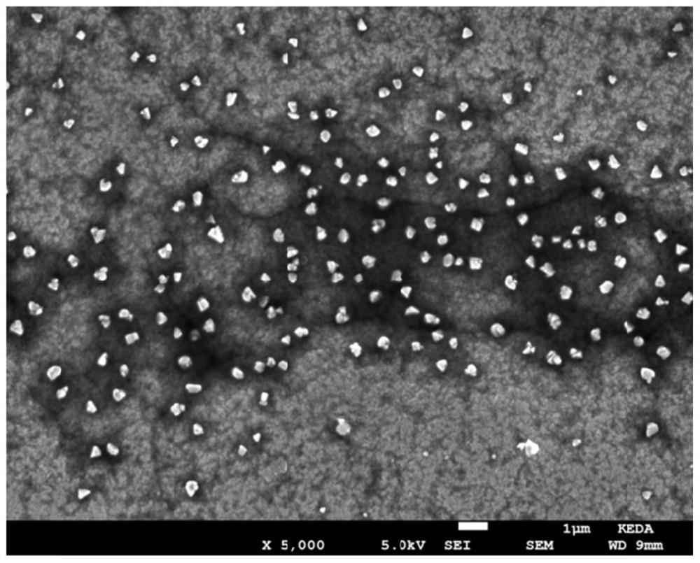 Silicon-containing powder for lithium ion battery negative electrode material and preparation method of silicon-containing powder