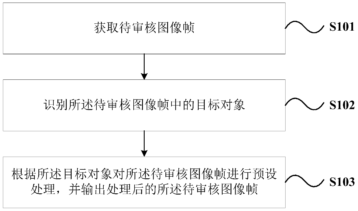 Video auditing method and device and electronic equipment