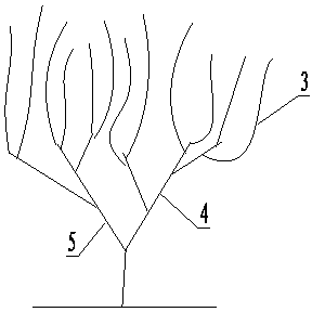 Grape cultivating method enabling grapes to be mature for six times