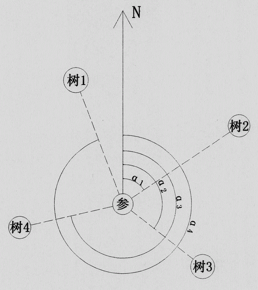 Forest calculating and measuring method for observing sample plot composed of five trees