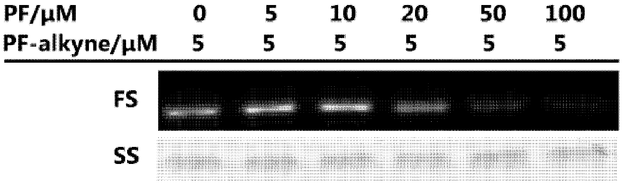 Compound for immobilizing proteins and method for immobilizing proteins