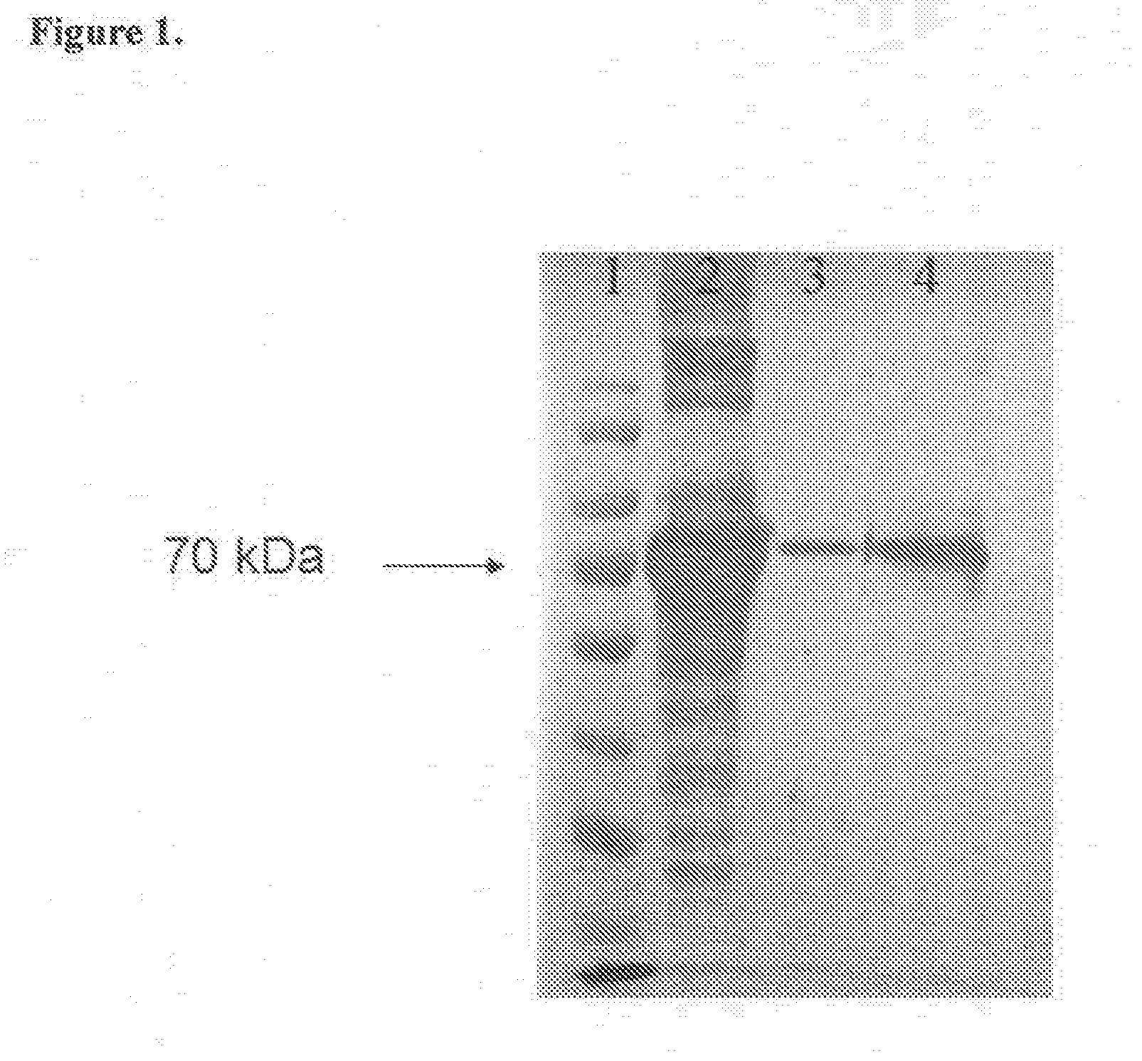 Methods for Coupling of Molecules to Metal/Metal Oxide Surfaces