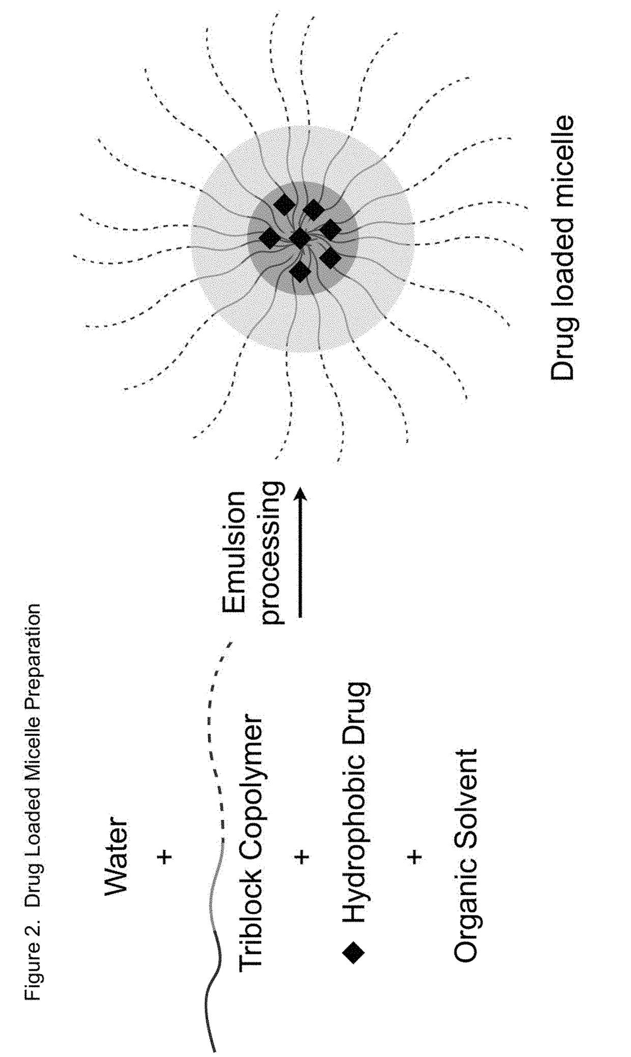 Sn-38 loaded iron crosslinked micelle and methods thereof