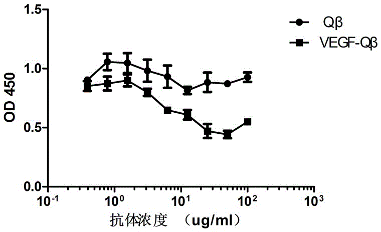 Recombinant human VEGF tumor polypeptide vaccine