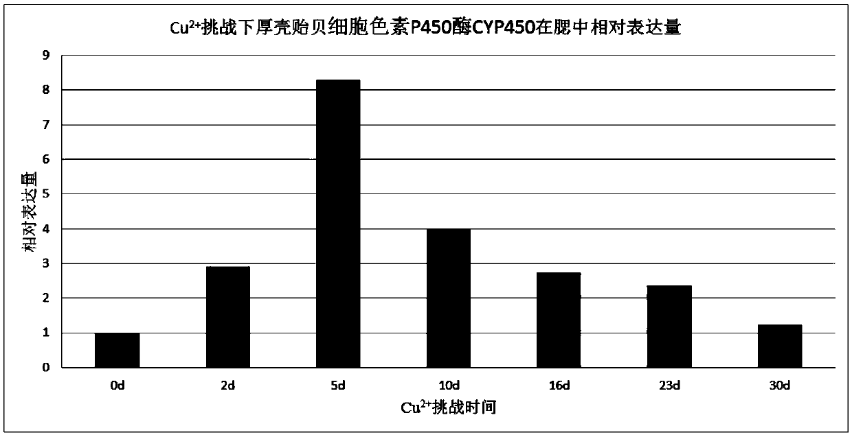 Novel marine organism pollution detection marker