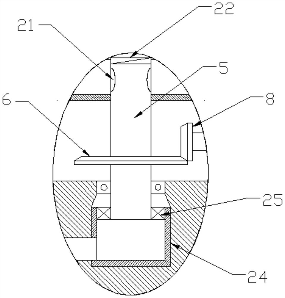 Separated micro-nano ozone cleaning and disinfecting device