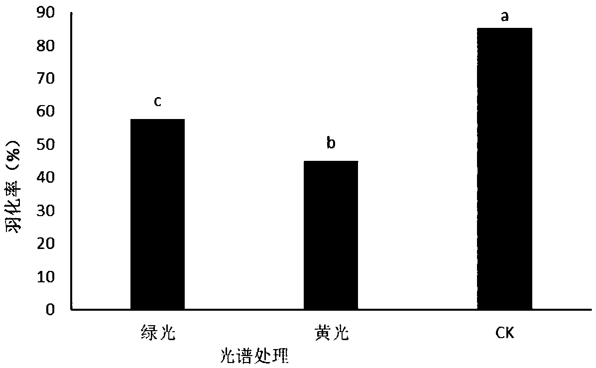 Method for preventing and controlling loopworms