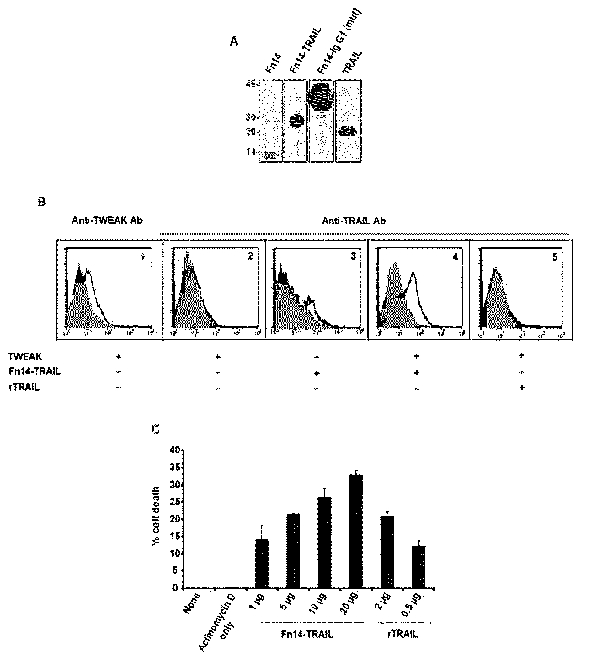 Fn14/trail fusion proteins