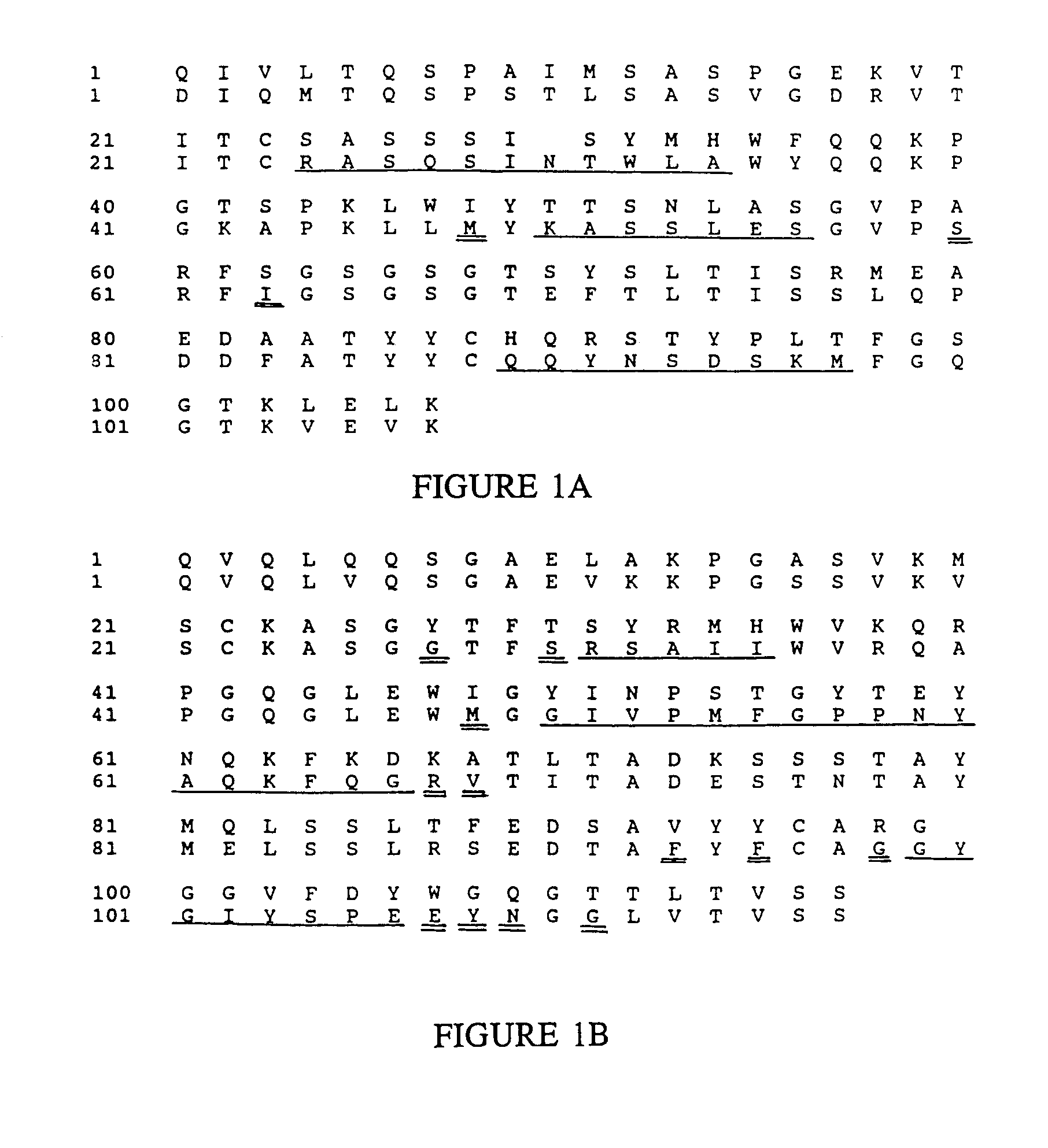 Humanized immunoglobulins