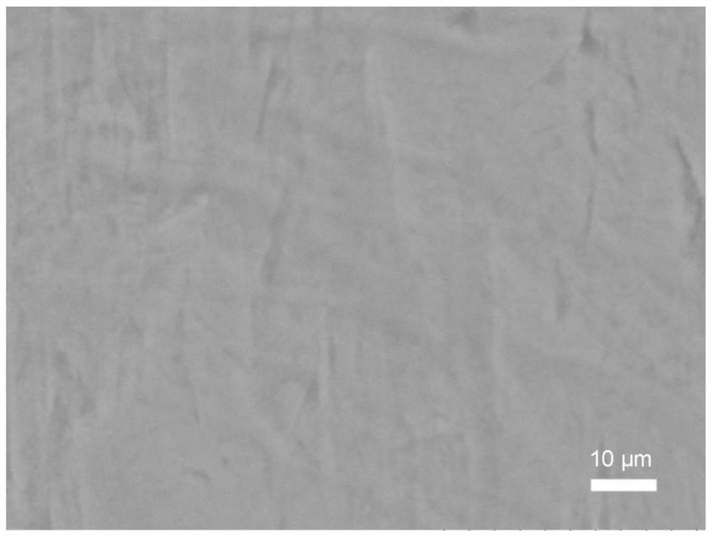 Lithium metal battery negative electrode surface modification method