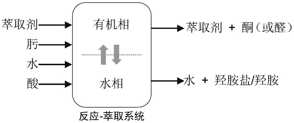 Reaction-extraction coupled method for preparing hydroxylamine salt/hydroxylamine