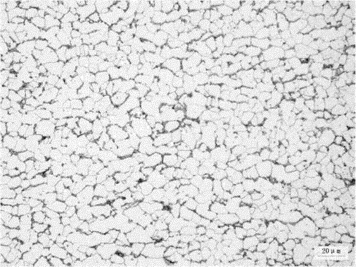 Method for producing hot-rolled steel coil