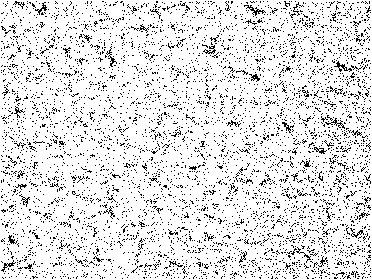 Method for producing hot-rolled steel coil