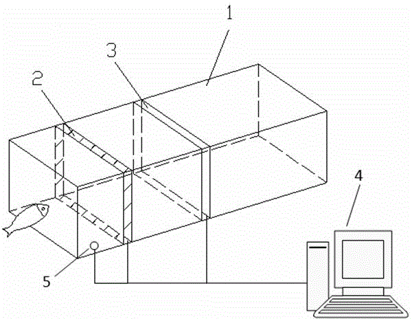 Device and method for improving fish passing effect in fish pass by using fish phototaxis characteristics