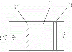 Device and method for improving fish passing effect in fish pass by using fish phototaxis characteristics