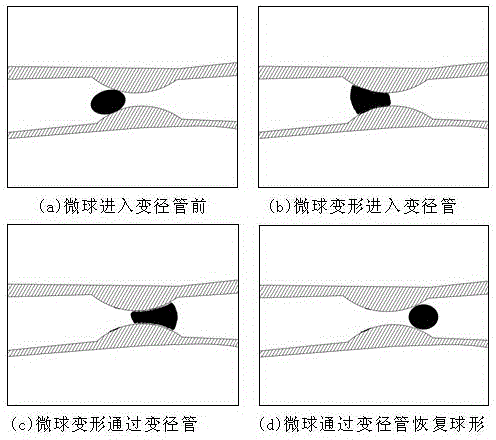 Method for matching particle size of elastic microspheres used for profile controlling and flooding of oil reservoir deep part with pore throat