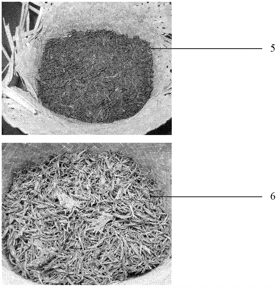 Fungus growing process for black tea