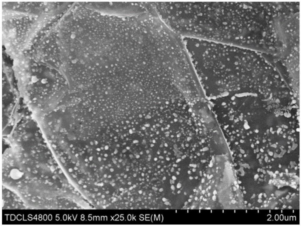 High-directional-thermal-conductivity carbon/polymer composite material and preparation method