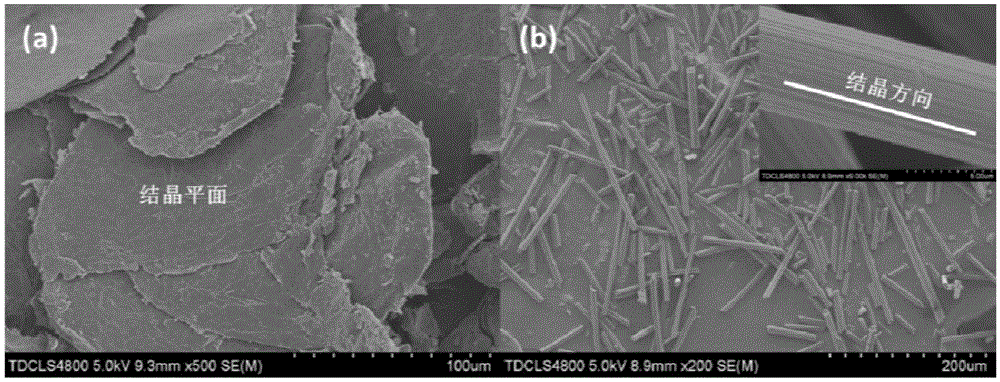 High-directional-thermal-conductivity carbon/polymer composite material and preparation method