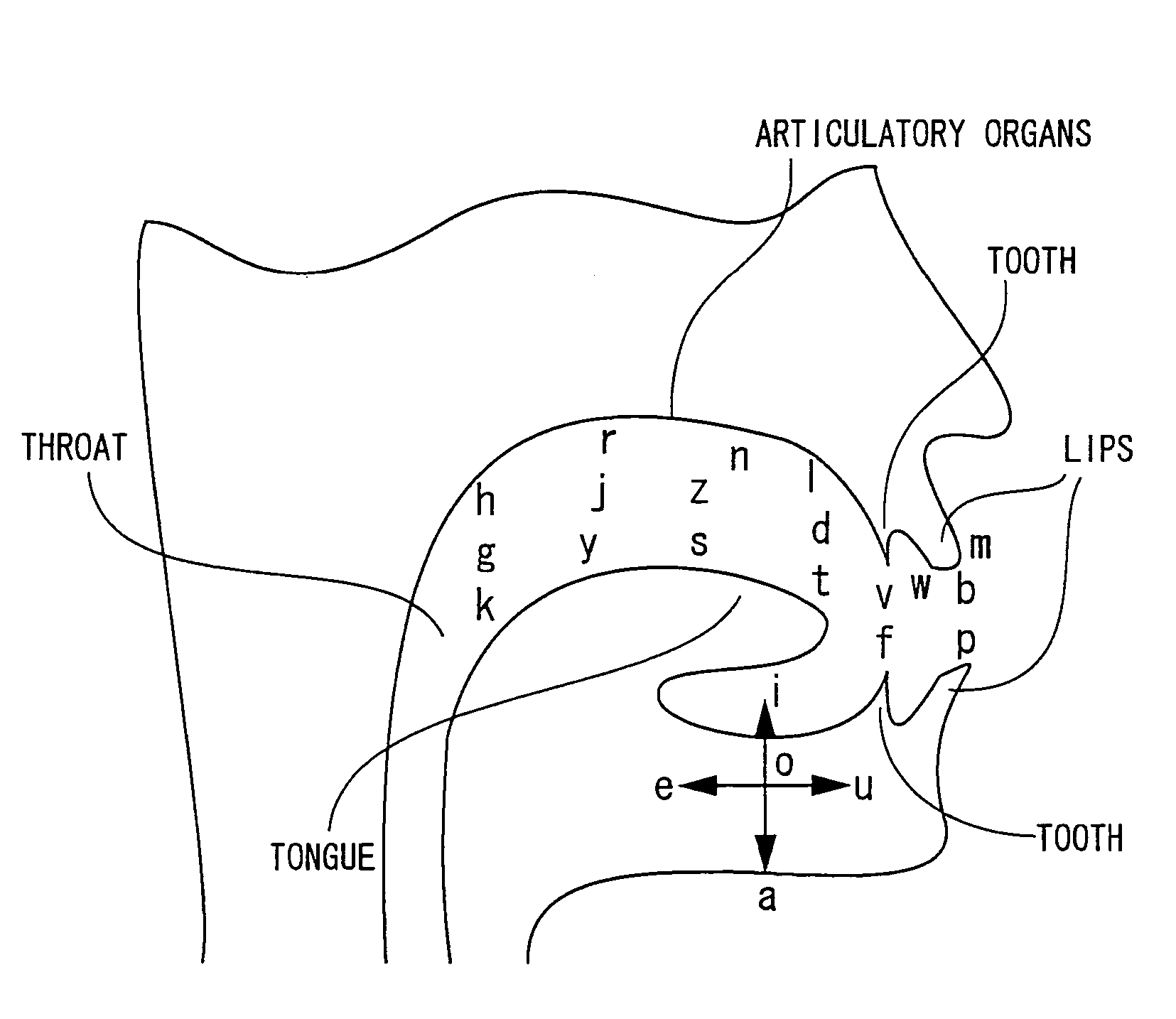 Key input device