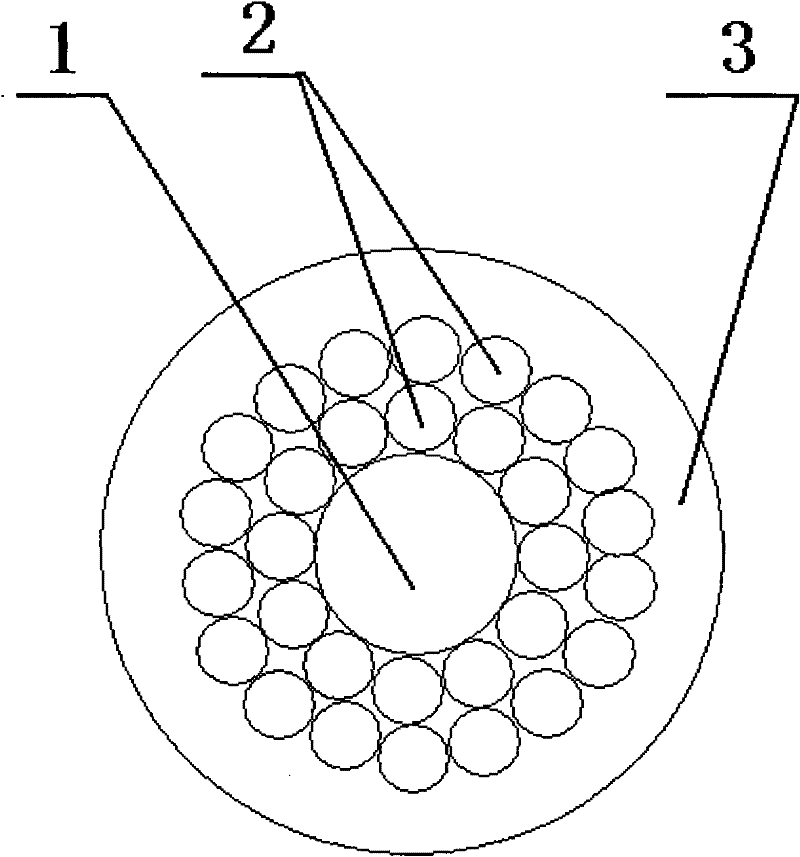 Plastic coated steel wire rope with thirty one wires