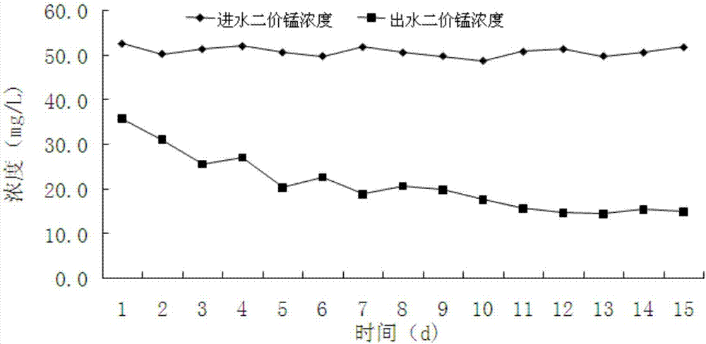 Simultaneous removal method of manganese and nitrate in underground water