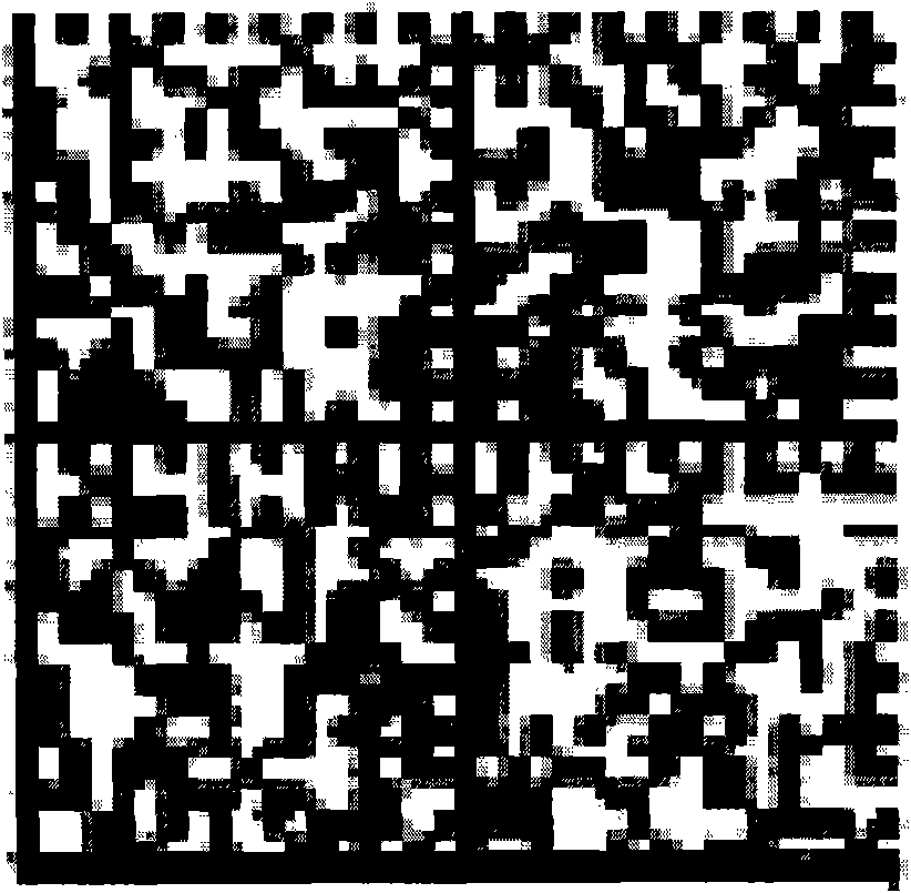 Method and system for guiding mobile terminal to access world wide web by two-dimensional code