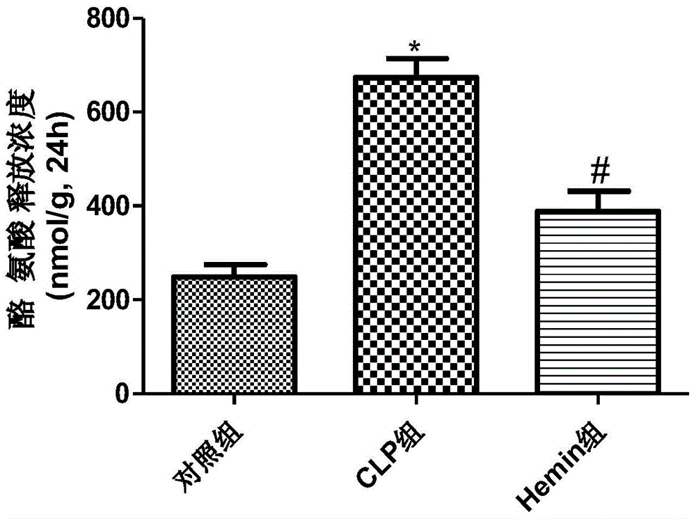 Application of hemin in preparation of drugs used for preventing and treating muscle atrophy caused by sepsis