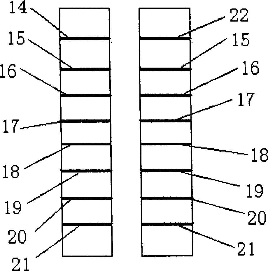 HCV and TORCH protein chip and its preparation and application method