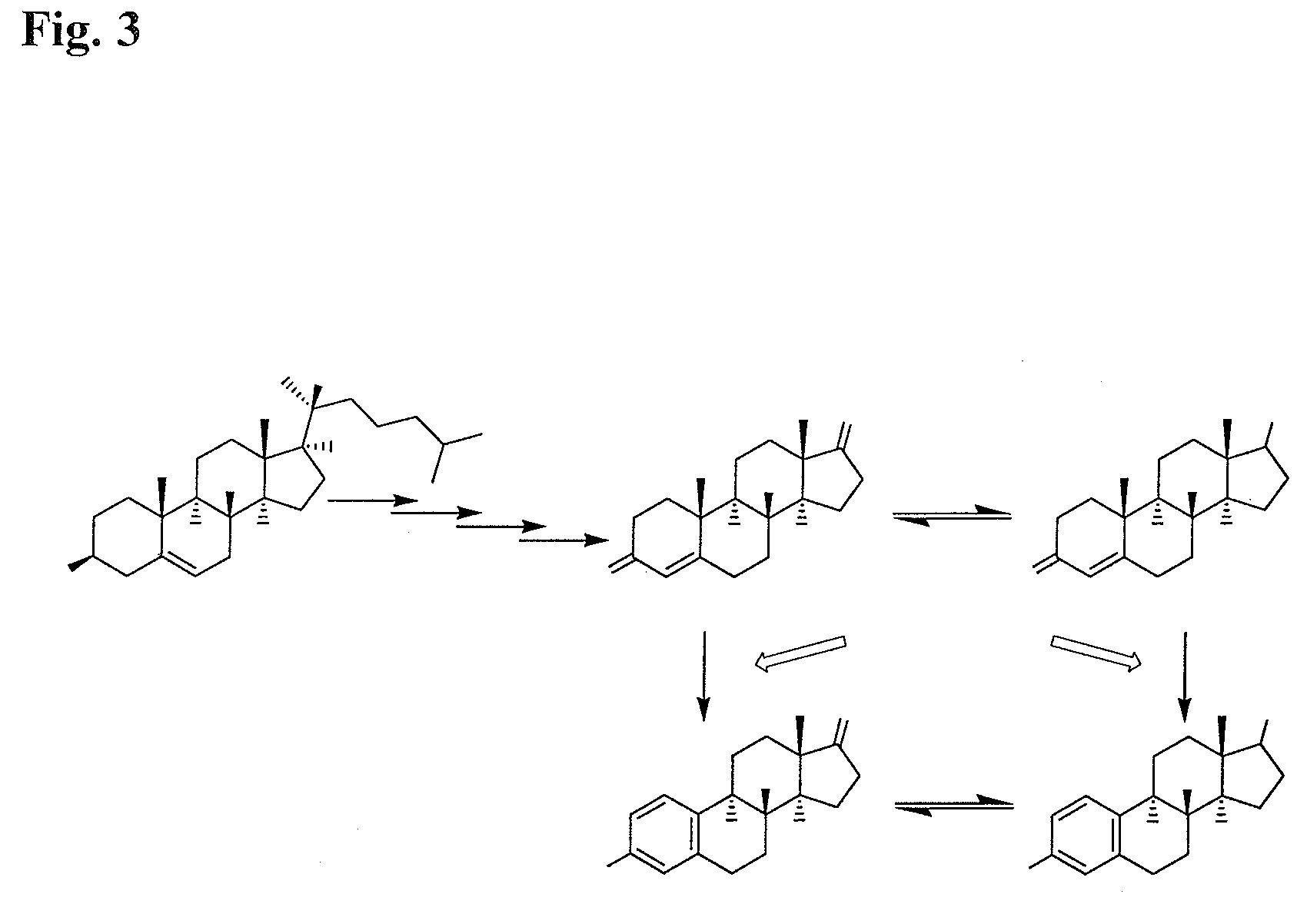 Compositions from Garcinia as Aromatase Inhibitors for Breast Cancer Chemoprevention and Chemotherapy