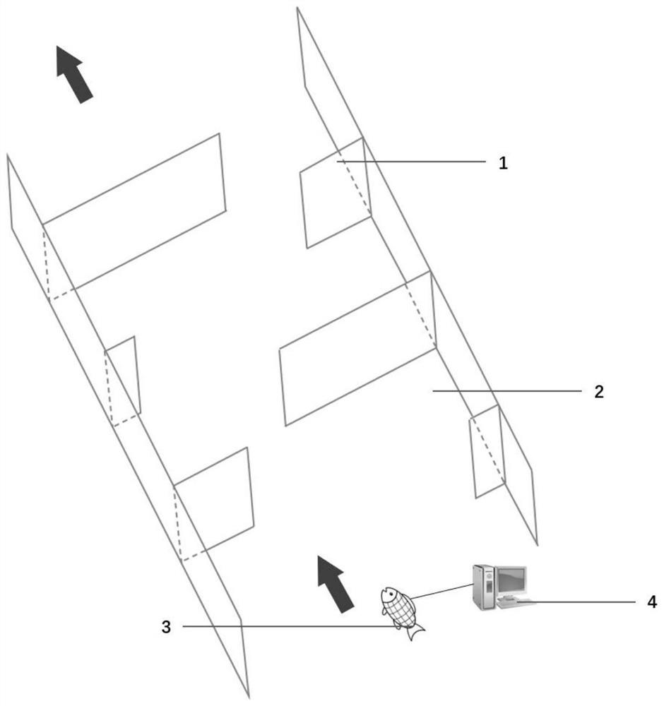 Method and device for extracting perception and response relation of fish to water flow form