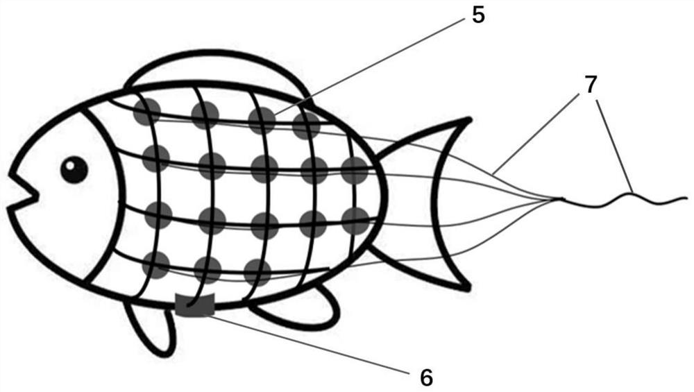 Method and device for extracting perception and response relation of fish to water flow form