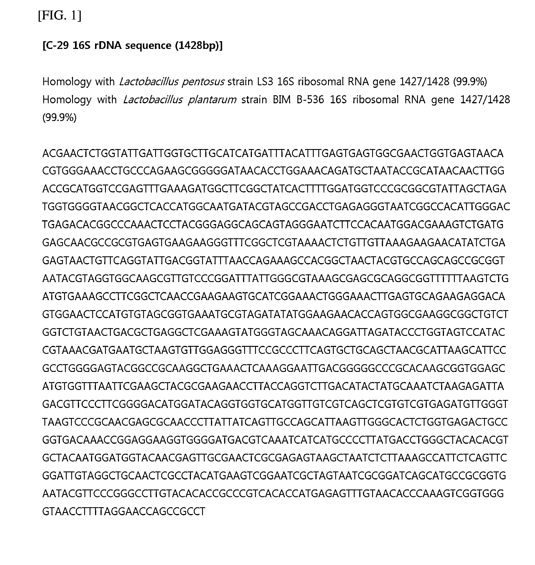 Lactic acid bacteria capable of preventing and/or treating senescence and dementia