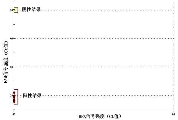 Method for detecting haplogroup of chondriogen and application thereof