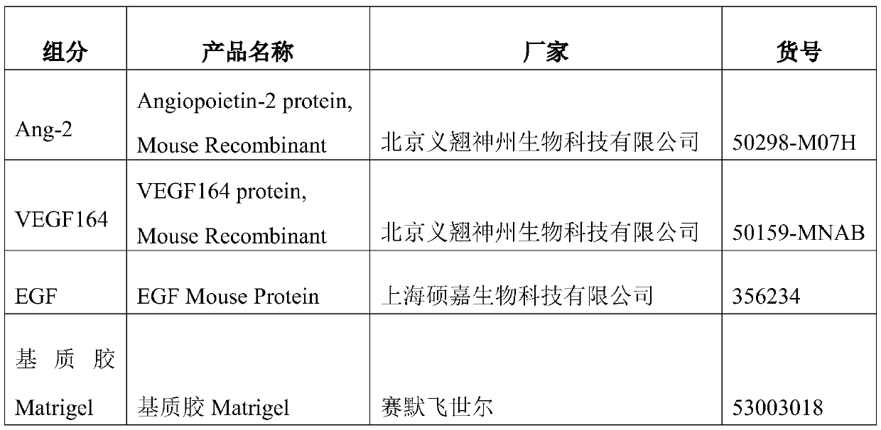 Incubation liquid capable of promoting growth of in vitro tumor tissue capillaries, and preparation method of incubation liquid capable of promoting growth of in vitro tumor tissue capillaries