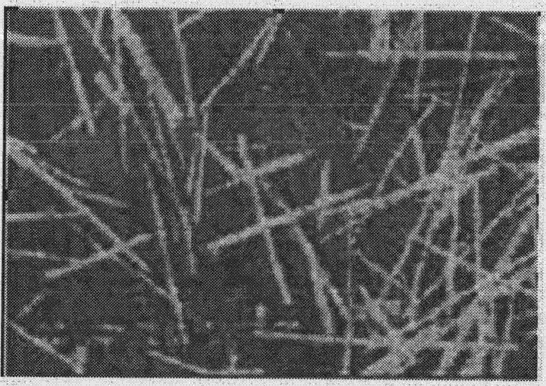 Method for preparing calcium sulphate whiskers used for absorbing heavy metal ions in waste incineration flue gas