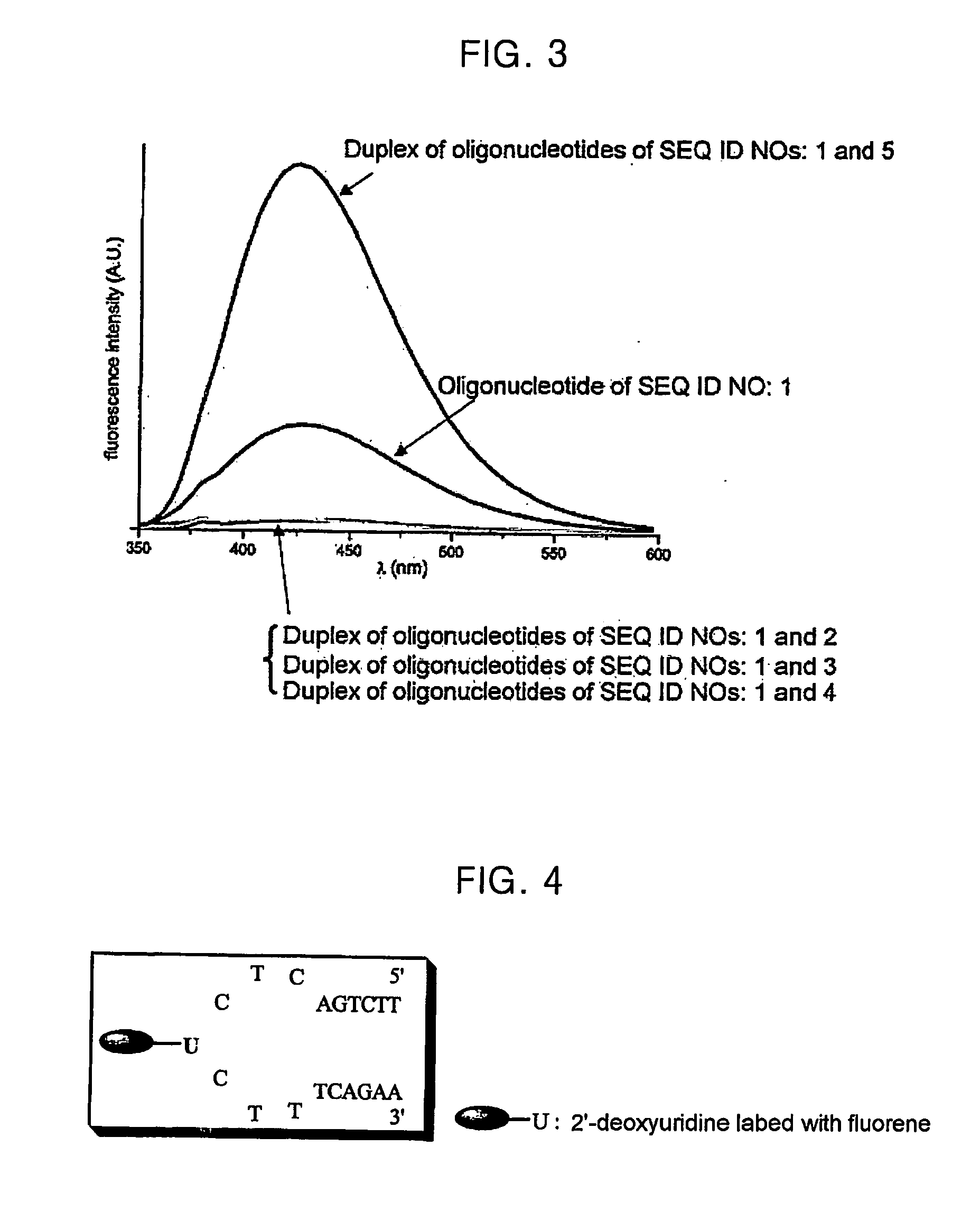 Oligonucleotide For Detecting Target Dna Or Rna