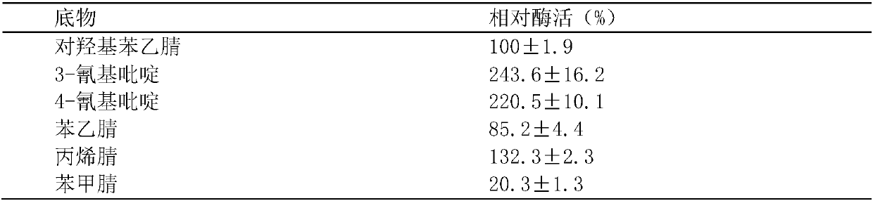 Strain for producing nitrile hydratase and method for producing p-hydroxyphenylacetamide by using strain