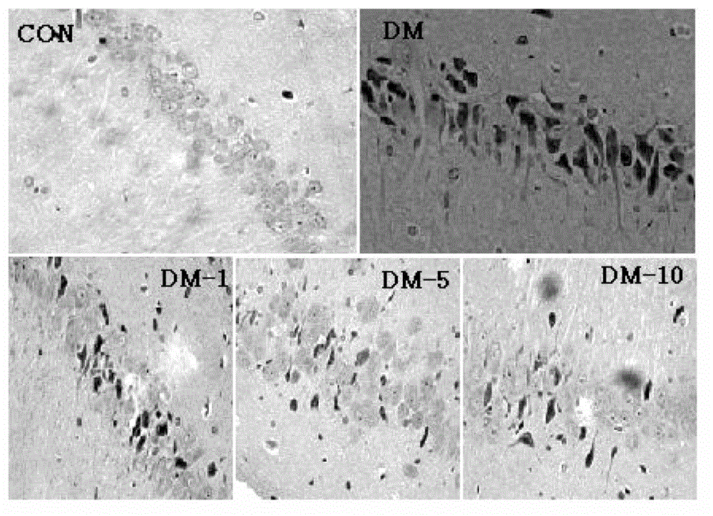 Extraction method of aucubin and application of aucubin