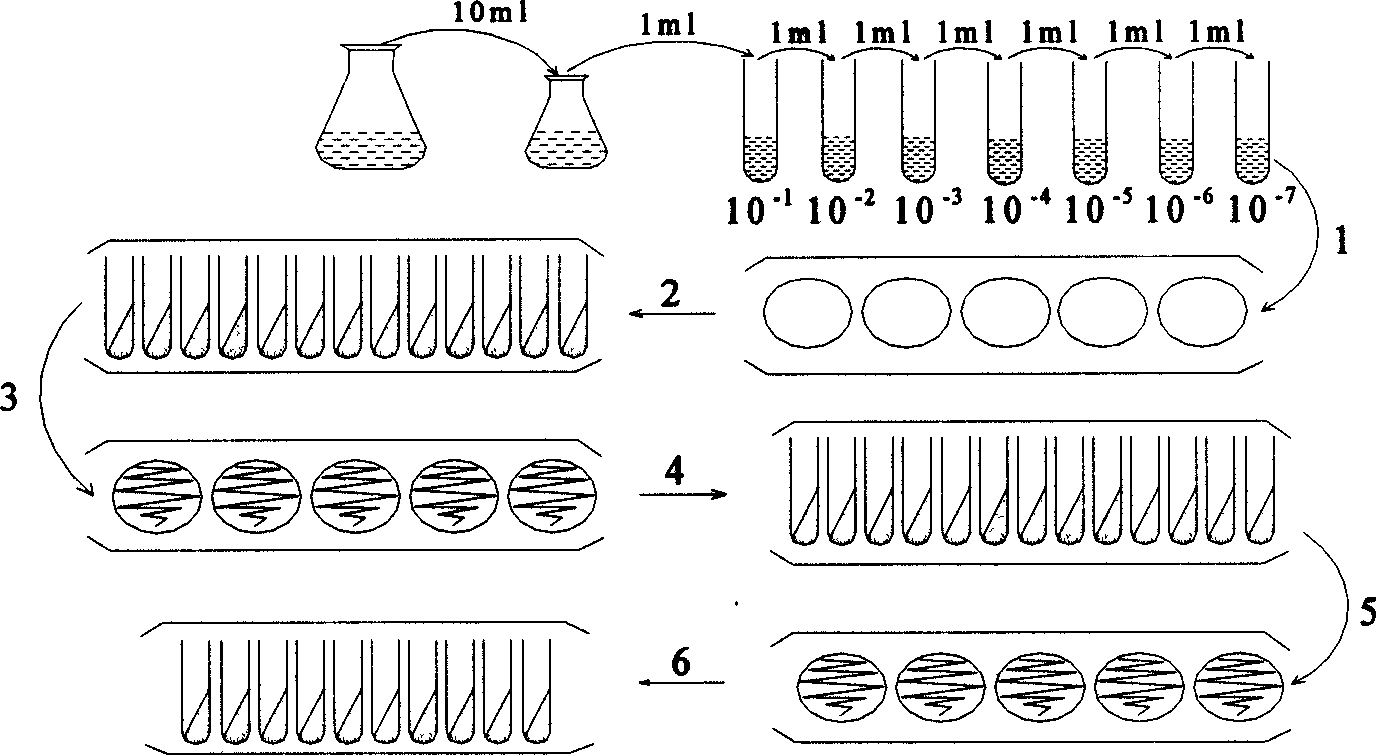 Water treatment method for realizing drinking water deep purification by fixed bioactive carbon technology