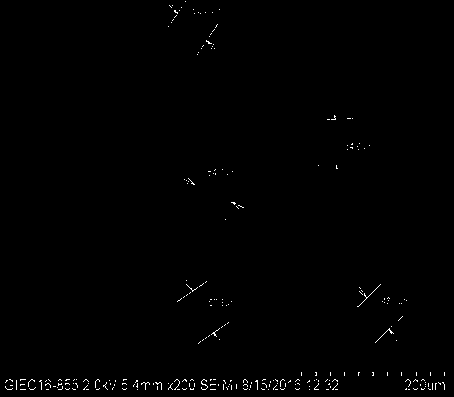 A kind of bitter gourd whole fruit hypoglycemic powder modified with multiple bitter tastes and preparation method thereof