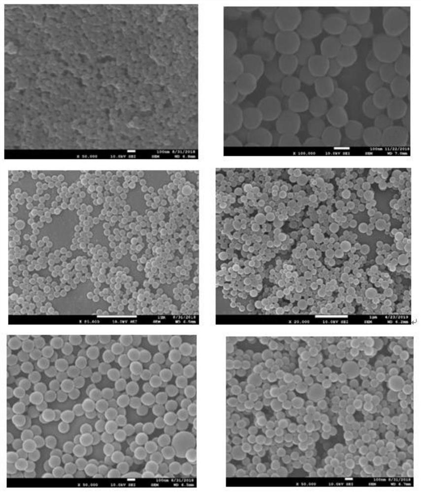 Preparation method and use of a non-biological nano-artificial antibody specifically targeting Alzheimer's disease markers