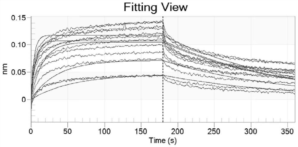 Preparation method and use of a non-biological nano-artificial antibody specifically targeting Alzheimer's disease markers